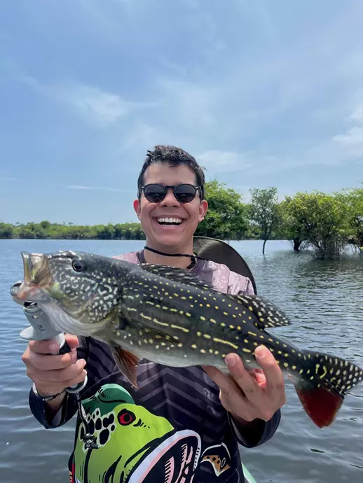 Natureza exuberante ao redor do lodge