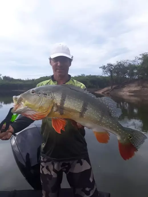 Águas preservadas da Amazônia